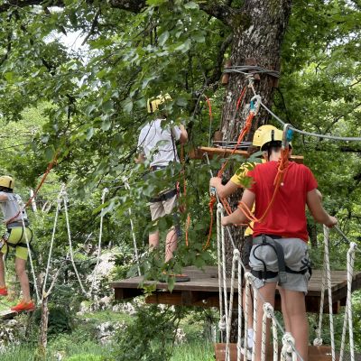 ADRENALINSKI PARK - VISEĆI MOSTOVI NA DRVEĆU